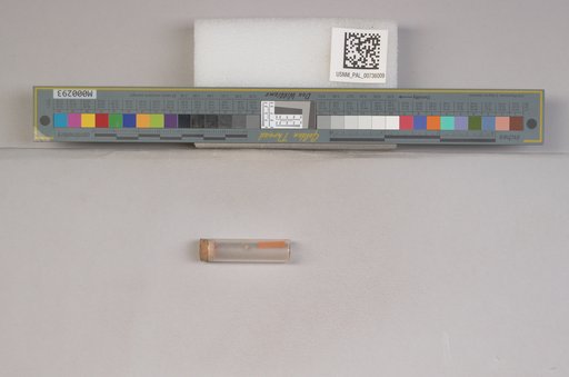 NSF ADBC EPICC TCN
