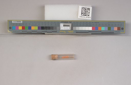 NSF ADBC EPICC TCN