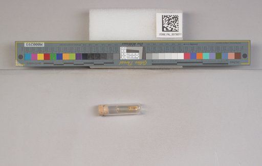 NSF ADBC EPICC TCN