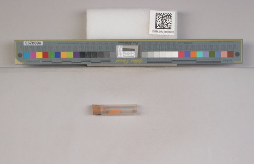 NSF ADBC EPICC TCN