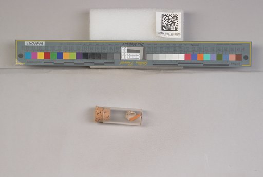 NSF ADBC EPICC TCN