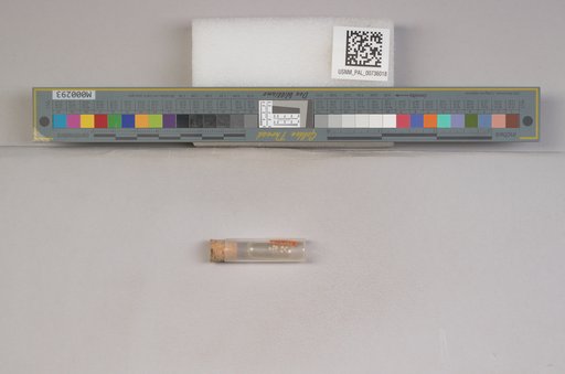 NSF ADBC EPICC TCN