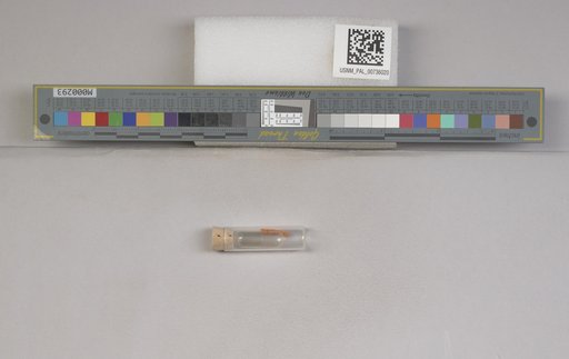 NSF ADBC EPICC TCN