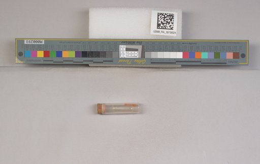 NSF ADBC EPICC TCN
