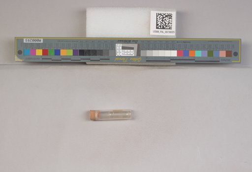 NSF ADBC EPICC TCN