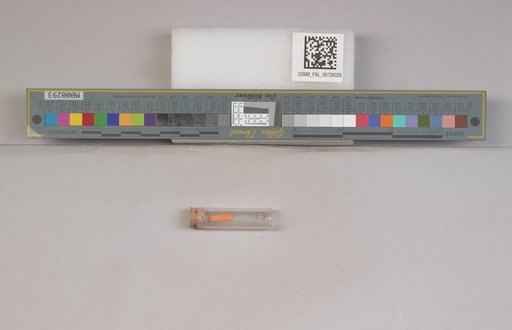 NSF ADBC EPICC TCN