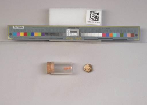 NSF ADBC EPICC TCN
