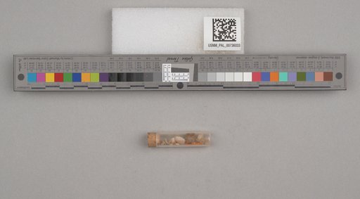 NSF ADBC EPICC TCN