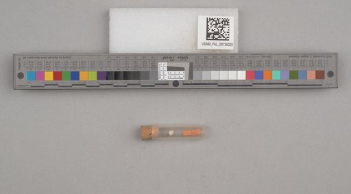 NSF ADBC EPICC TCN