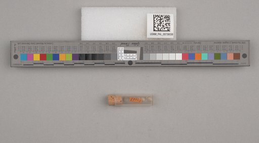 NSF ADBC EPICC TCN