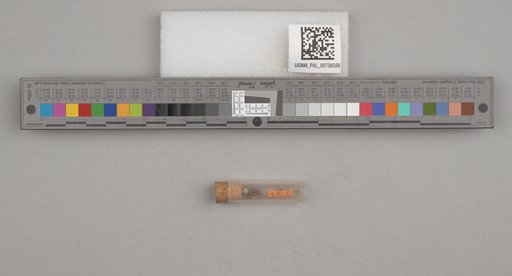 NSF ADBC EPICC TCN