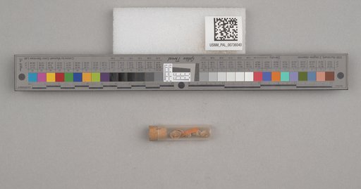 NSF ADBC EPICC TCN