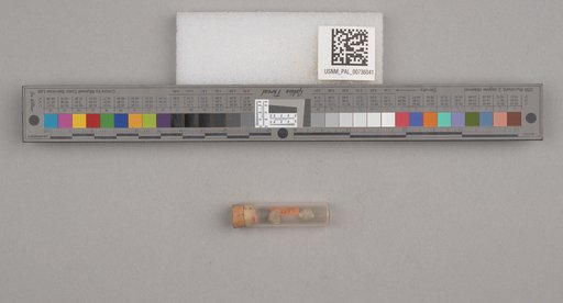 NSF ADBC EPICC TCN