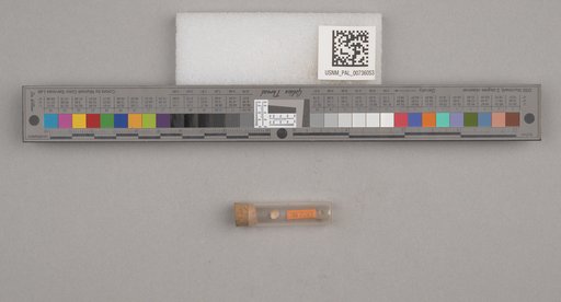 NSF ADBC EPICC TCN