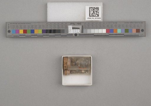 NSF ADBC EPICC TCN