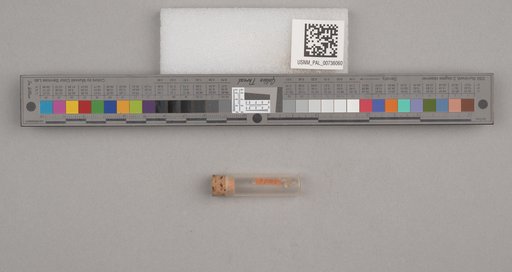 NSF ADBC EPICC TCN