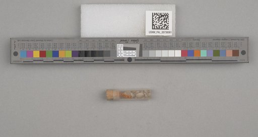 NSF ADBC EPICC TCN
