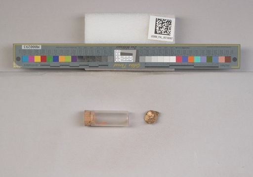 NSF ADBC EPICC TCN