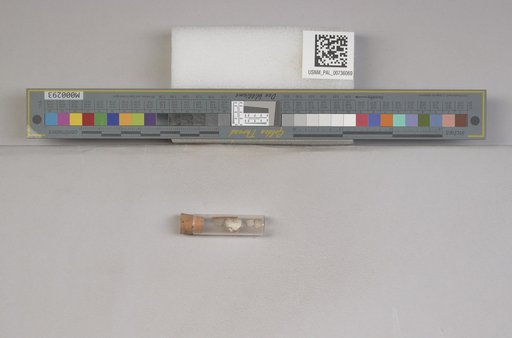 NSF ADBC EPICC TCN
