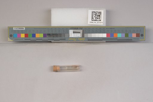 NSF ADBC EPICC TCN