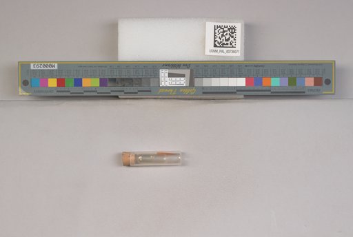 NSF ADBC EPICC TCN