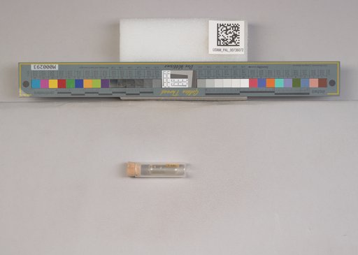 NSF ADBC EPICC TCN