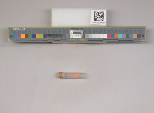 NSF ADBC EPICC TCN