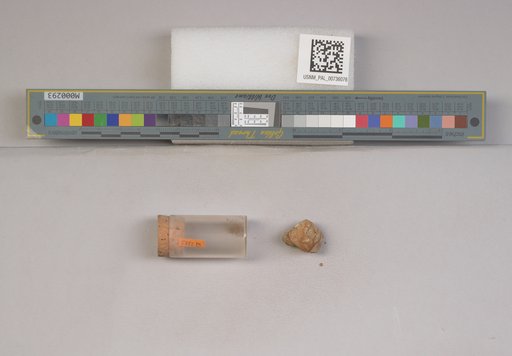 NSF ADBC EPICC TCN
