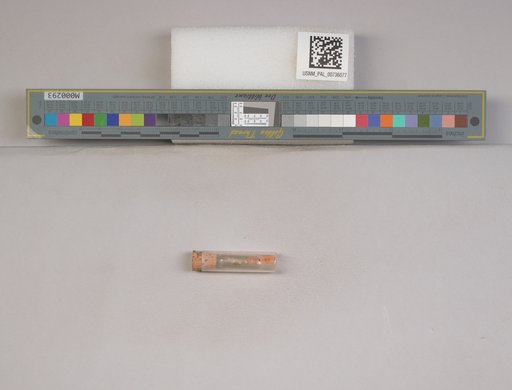 NSF ADBC EPICC TCN