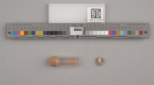 NSF ADBC EPICC TCN