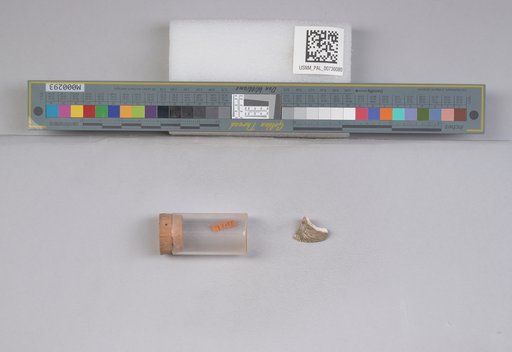 NSF ADBC EPICC TCN