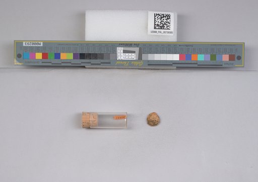 NSF ADBC EPICC TCN
