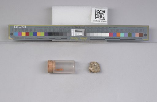 NSF ADBC EPICC TCN
