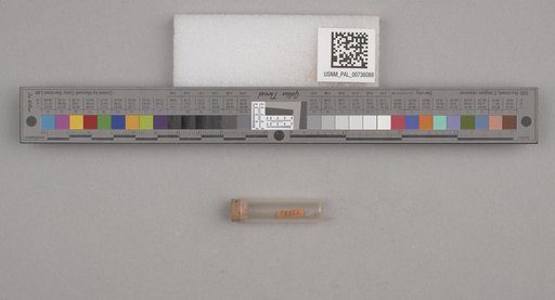 NSF ADBC EPICC TCN