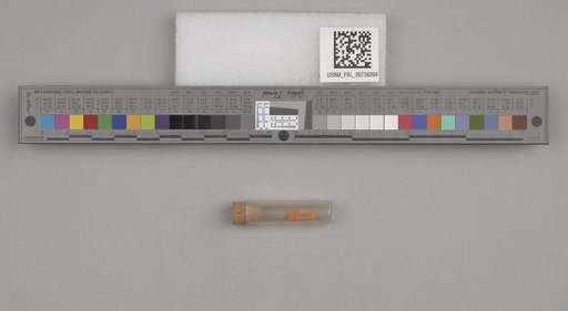 NSF ADBC EPICC TCN