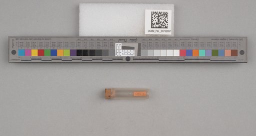 NSF ADBC EPICC TCN