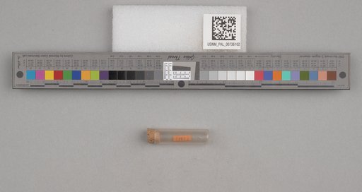 NSF ADBC EPICC TCN