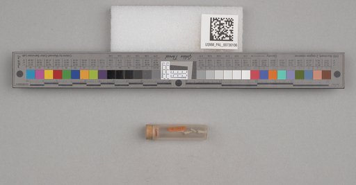 NSF ADBC EPICC TCN