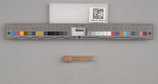 NSF ADBC EPICC TCN