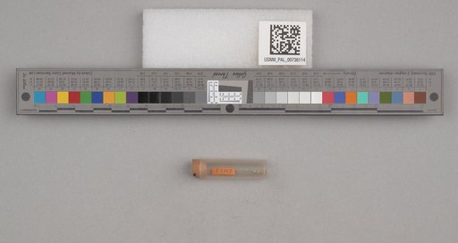 NSF ADBC EPICC TCN