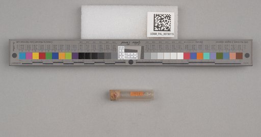 NSF ADBC EPICC TCN