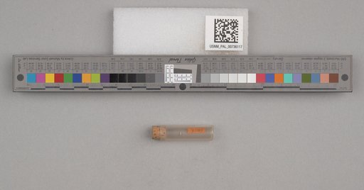 NSF ADBC EPICC TCN