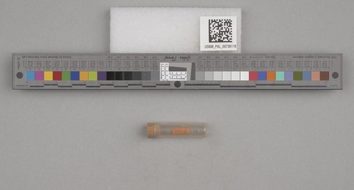 NSF ADBC EPICC TCN