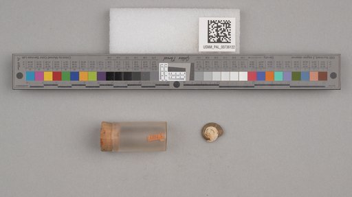 NSF ADBC EPICC TCN