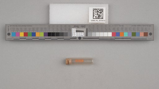 NSF ADBC EPICC TCN