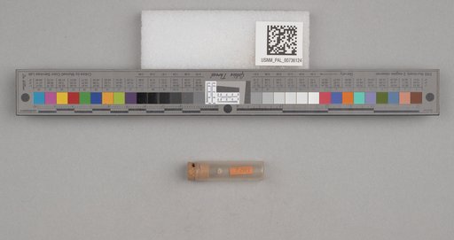 NSF ADBC EPICC TCN