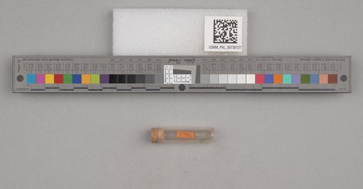 NSF ADBC EPICC TCN