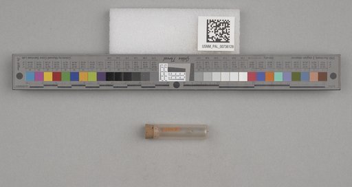 NSF ADBC EPICC TCN