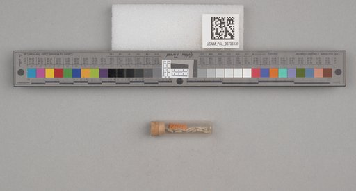 NSF ADBC EPICC TCN
