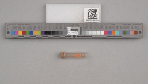NSF ADBC EPICC TCN